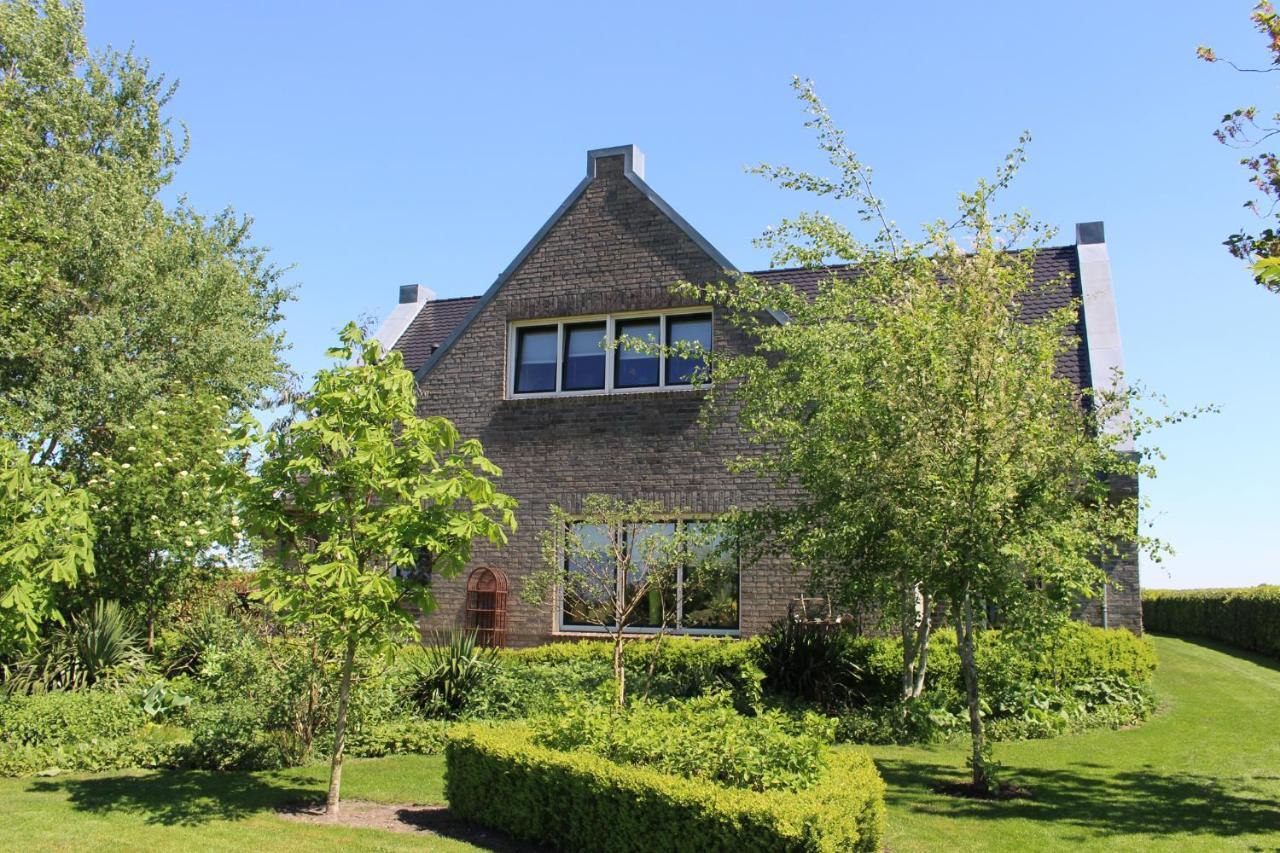 Zonnedauw * Zwartemeer